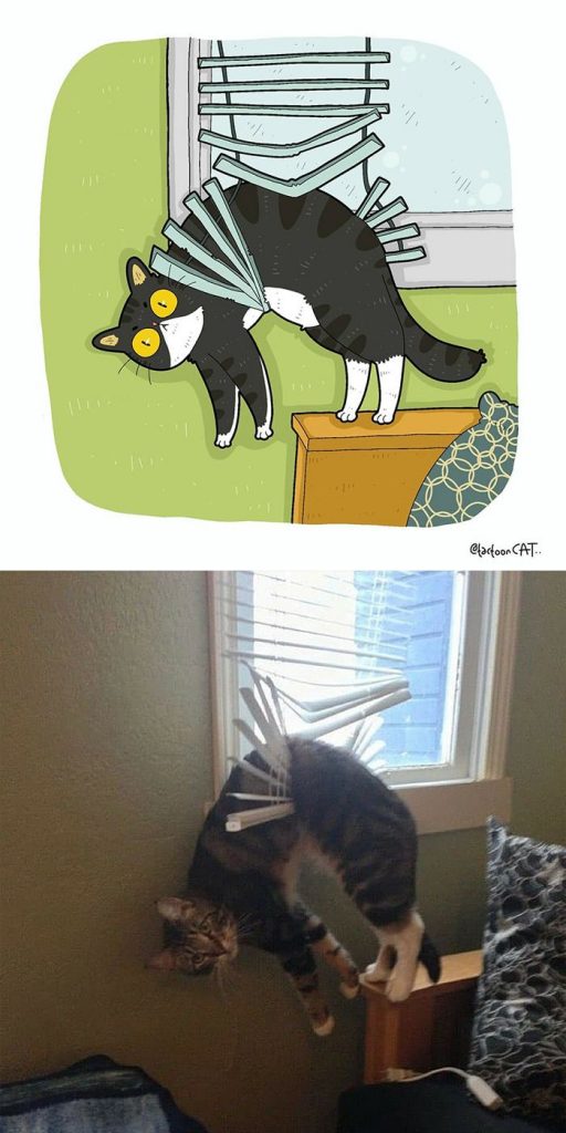 Tactooncat gambar kucing kartun animasi 1