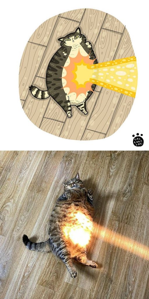 Tactooncat gambar kucing kartun animasi 2