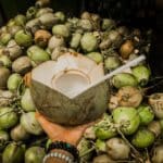 kelapa hijau obat batu ginjal