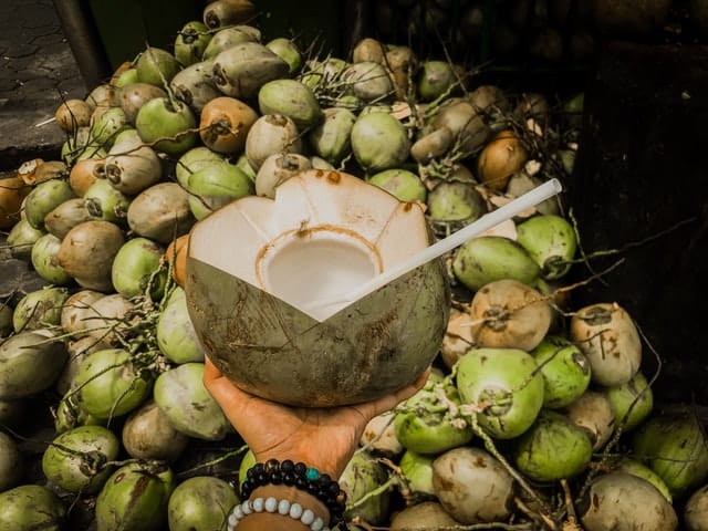 kelapa hijau obat batu ginjal